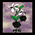 White Orchid and Black Rose